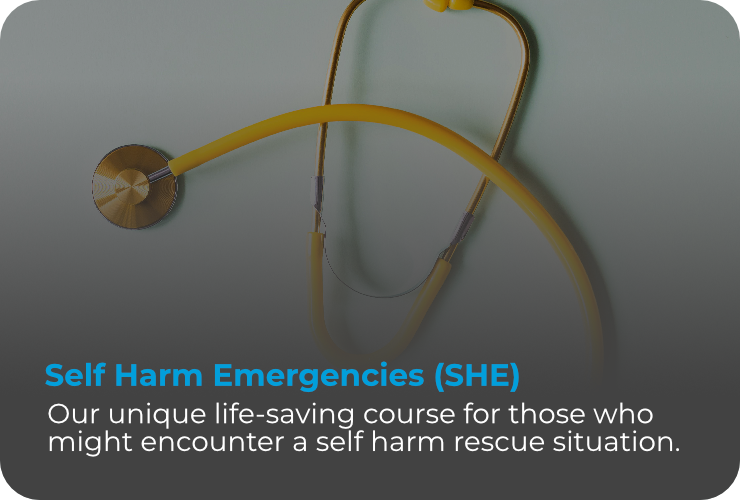 Self Harm Emergencies (SHE)