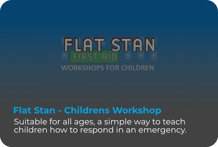 Flat Stan - Workshop